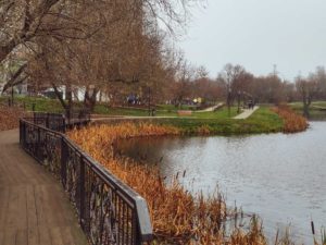 Моральный вред при недействительности брака